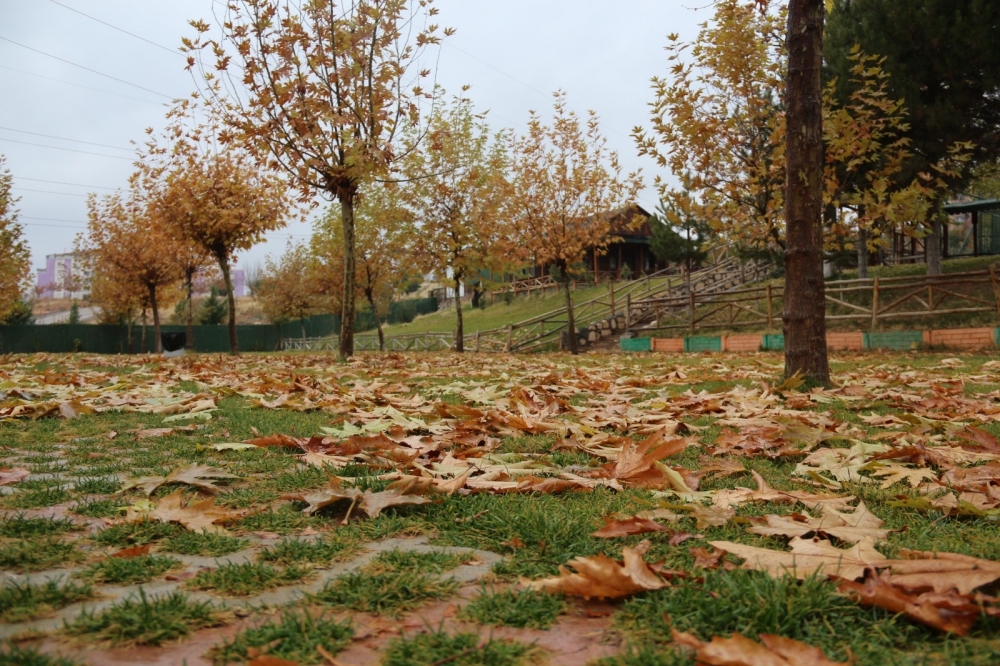 Elazığ Doğa Koleji